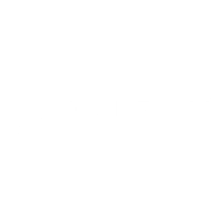 Olight