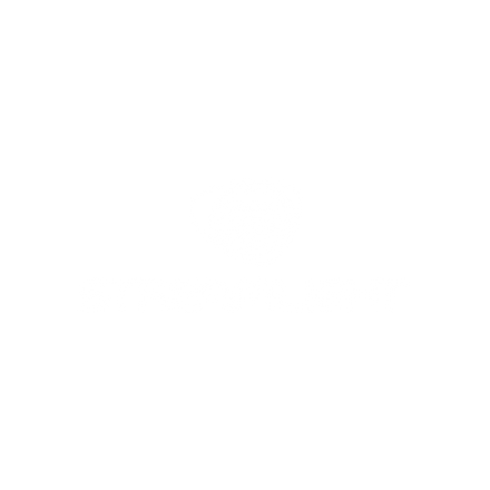 Streamlight