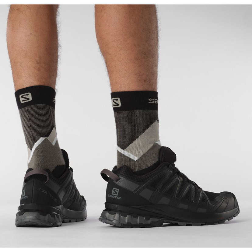 Salomon XA Pro 3D V8 GTX (2022 Model) Trail Running Shoe