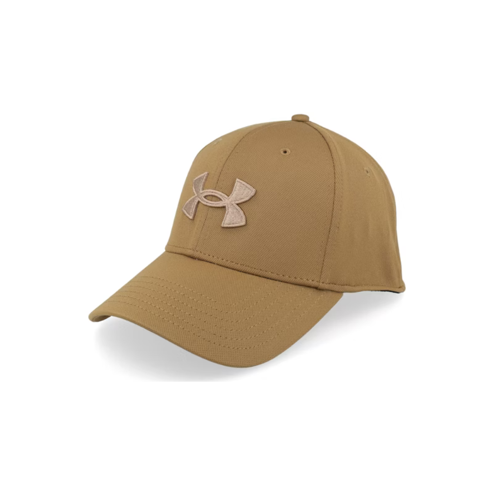 Under Armour Men's Blitzing 3.0 Cap