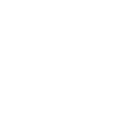 Original S.W.A.T