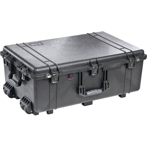 Pelican 1650 Large Classic Protector Case