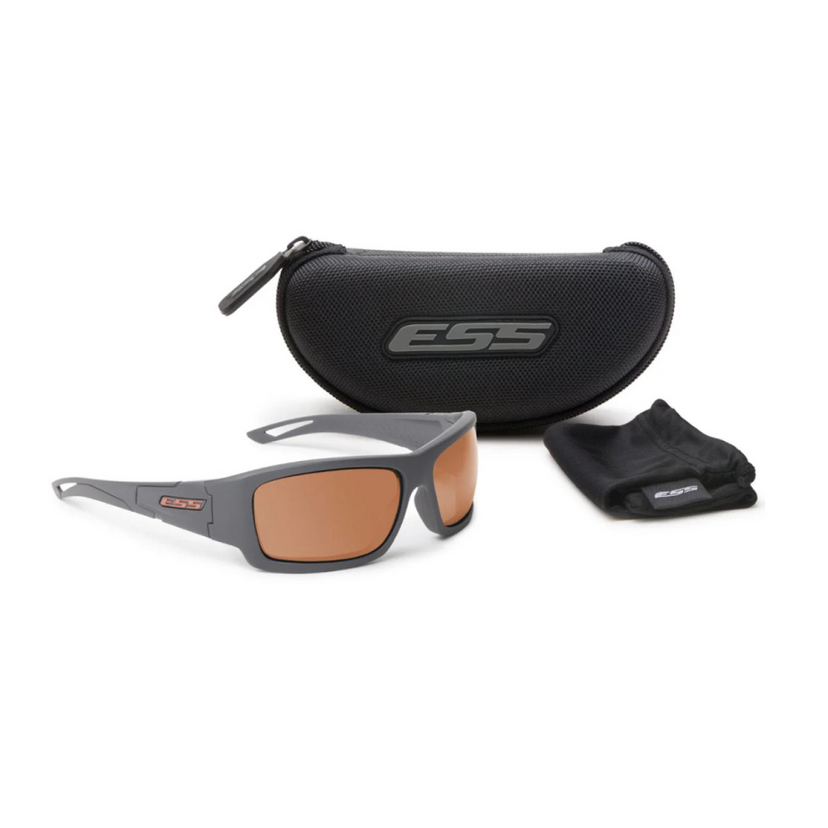 Eye Safety Systems Credence Glasses