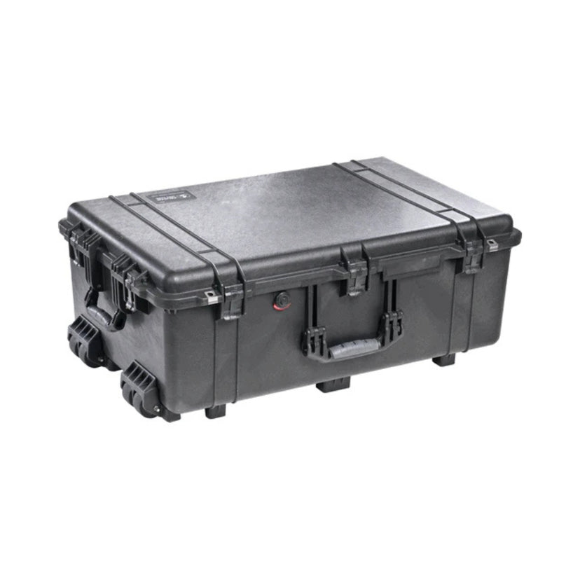 Pelican 1650 Large Classic Protector Case