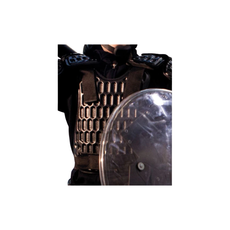 Scorpion Limb Protection CAST Chest/Back Protector