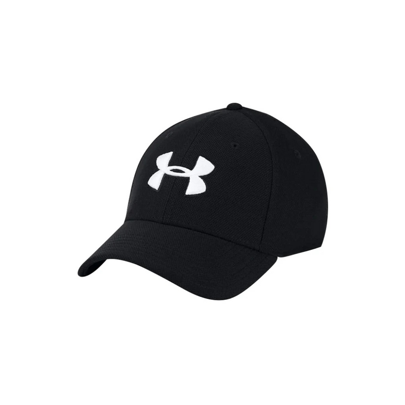 Under Armour Men's Blitzing 3.0 Cap